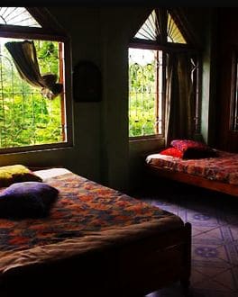 Jaldapara Jungle Camp, Jalpaiguri 4